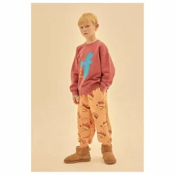 Sweat Flying Bird | Bordeaux