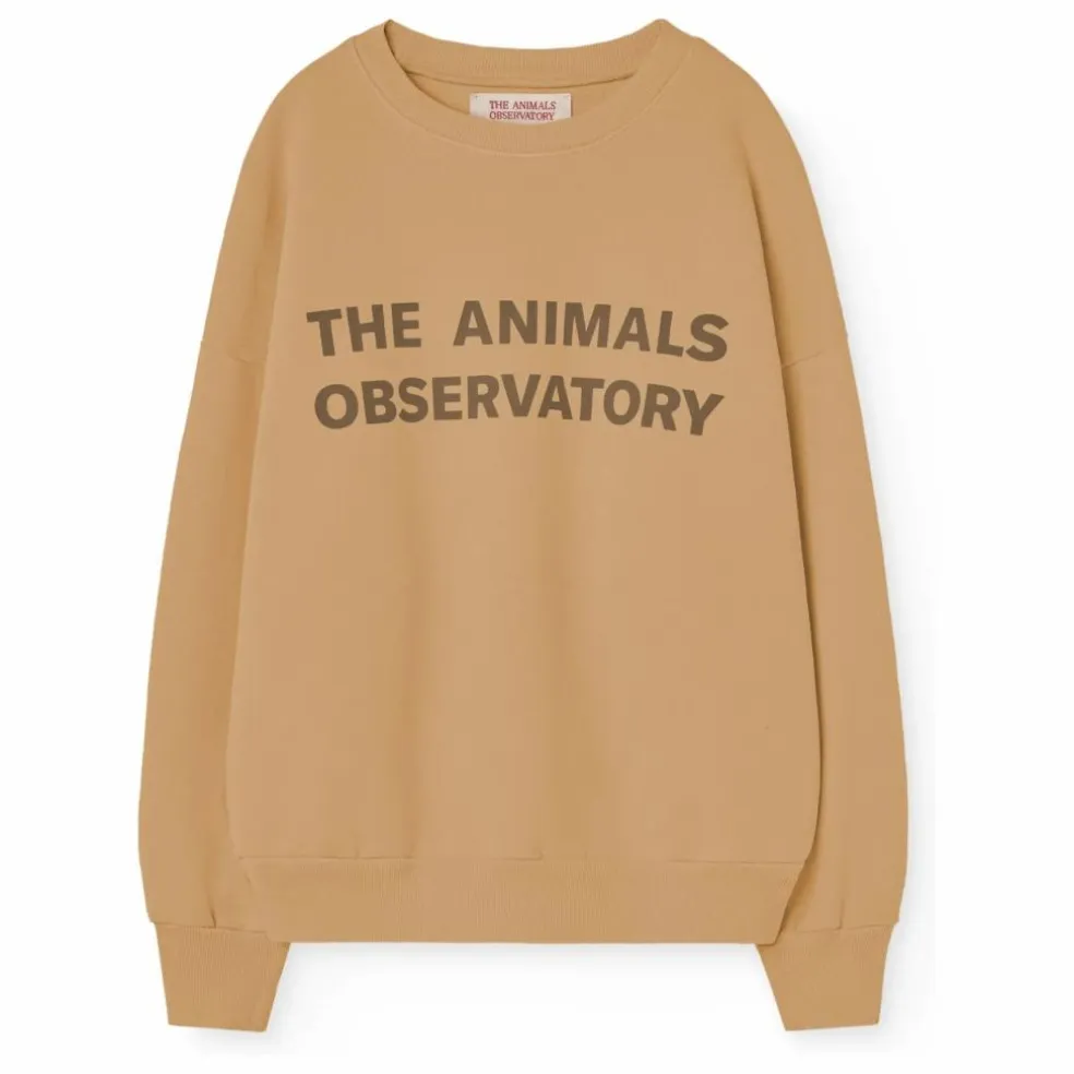 Sweat Leo | Camel