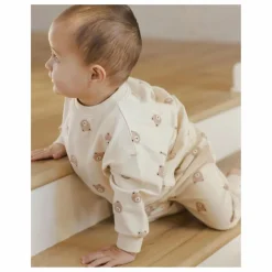 Sweat Ours Coton Bio | Ecru