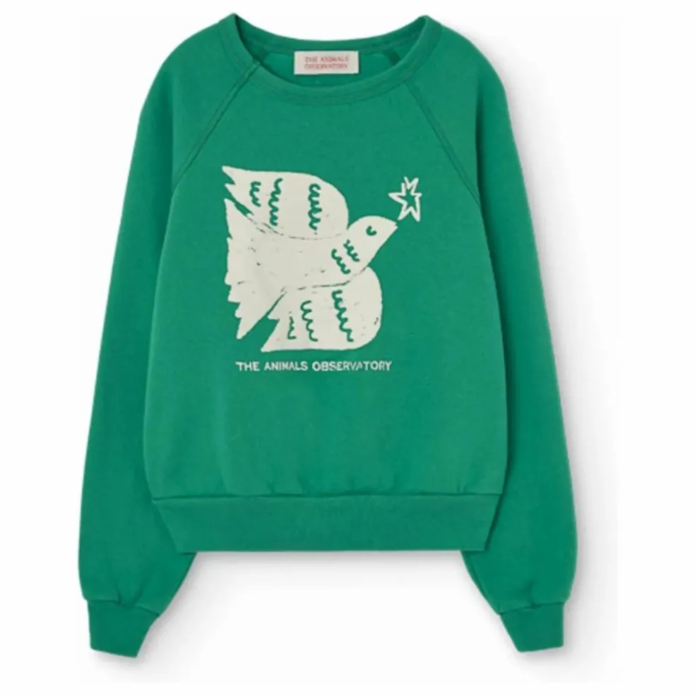 Sweat Shark | Vert