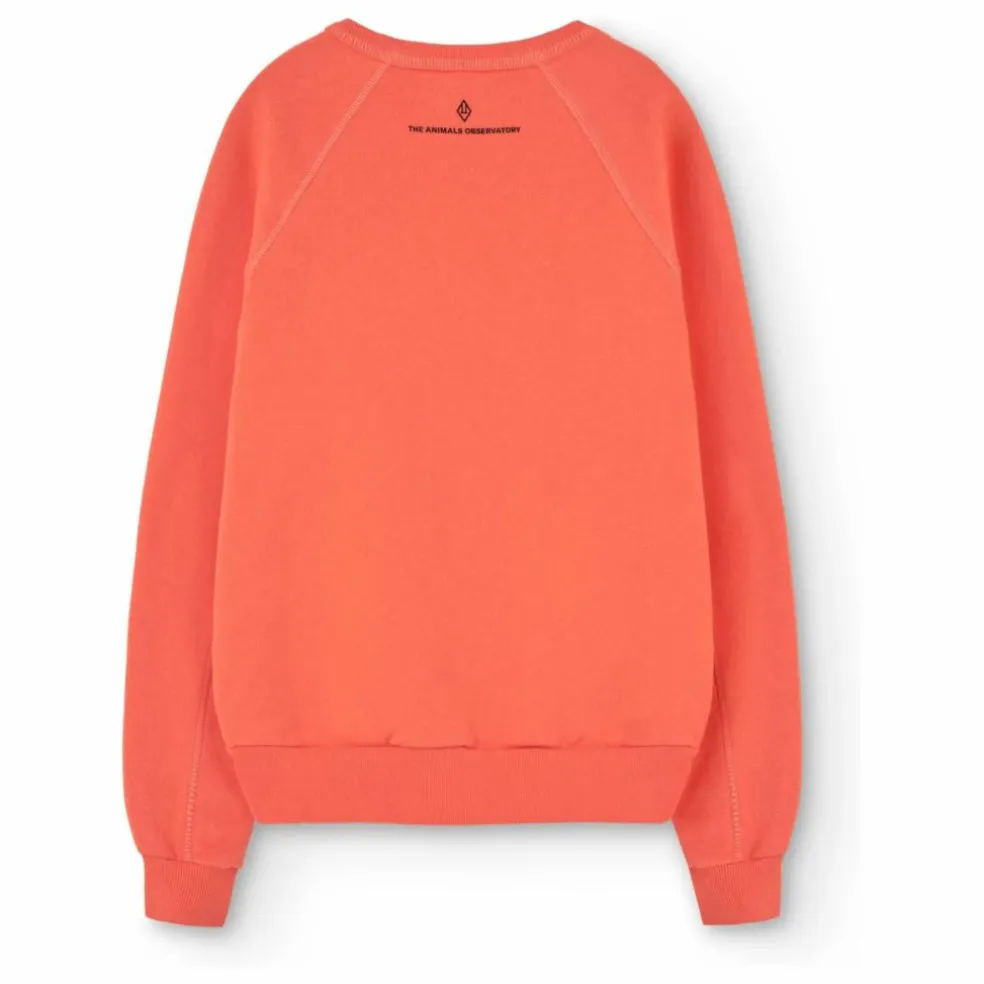 Sweat Shark Glace | Corail