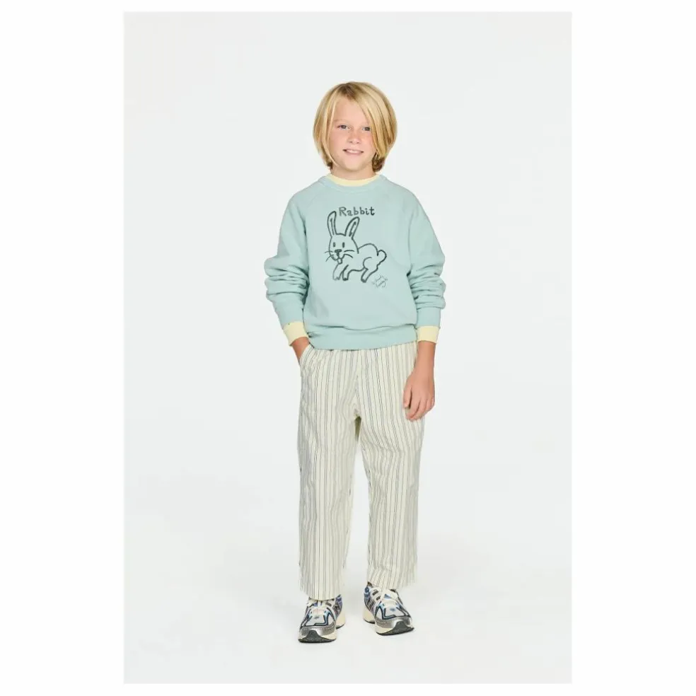 Sweat Shark Lapin | Bleu pâle