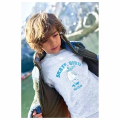 Sweat Skatebird | Gris chiné