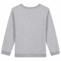 Sweat Skatebird | Gris chiné