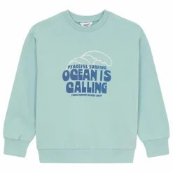 Sweatshirt col rond | Sauge