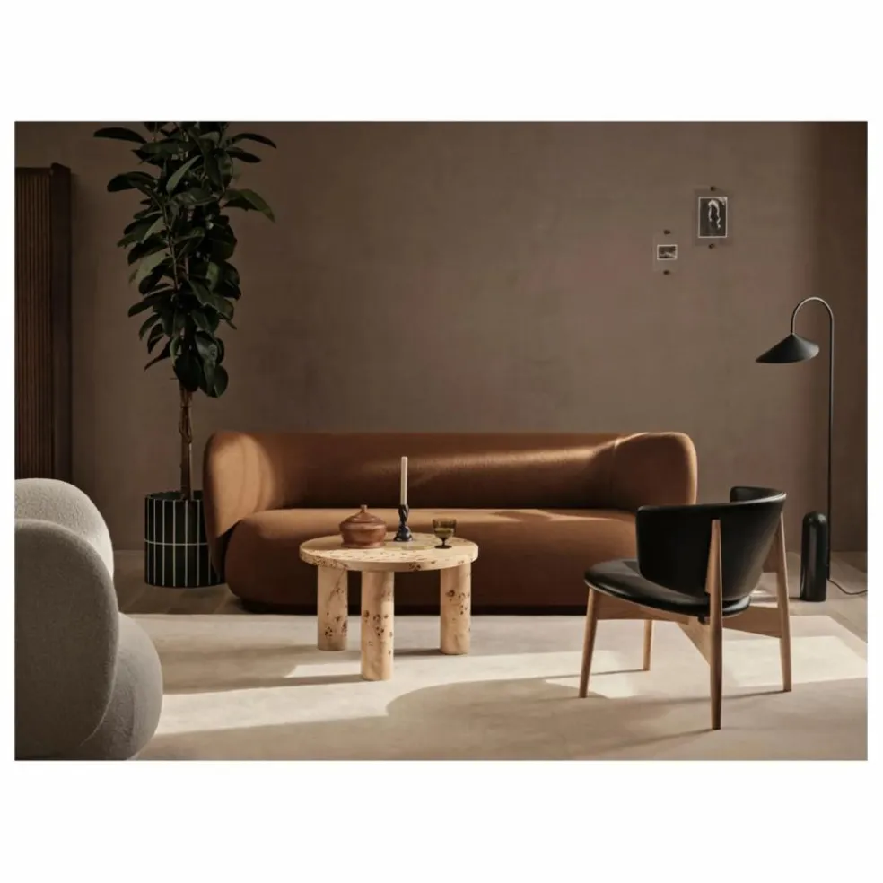 Table basse en loupe de peuplier Post