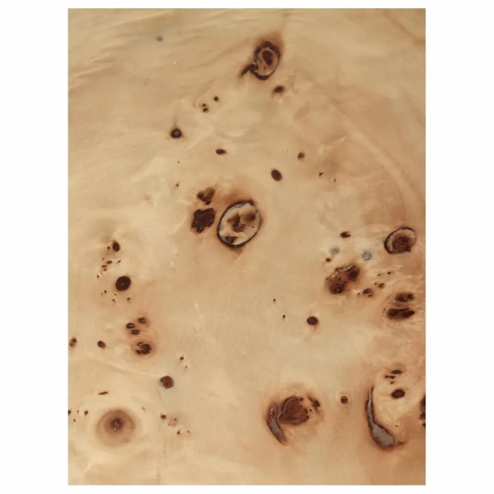 Table basse en loupe de peuplier Post