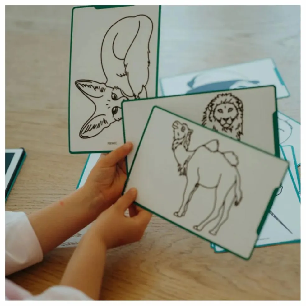 Tablette à dessin Kidydraw Mini | Vert foncé