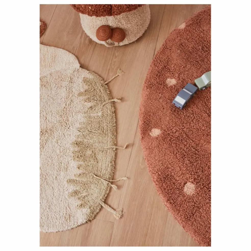 Tapis Boletus