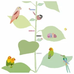 Toise With The Birds - FR