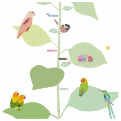 Toise With The Birds -EN