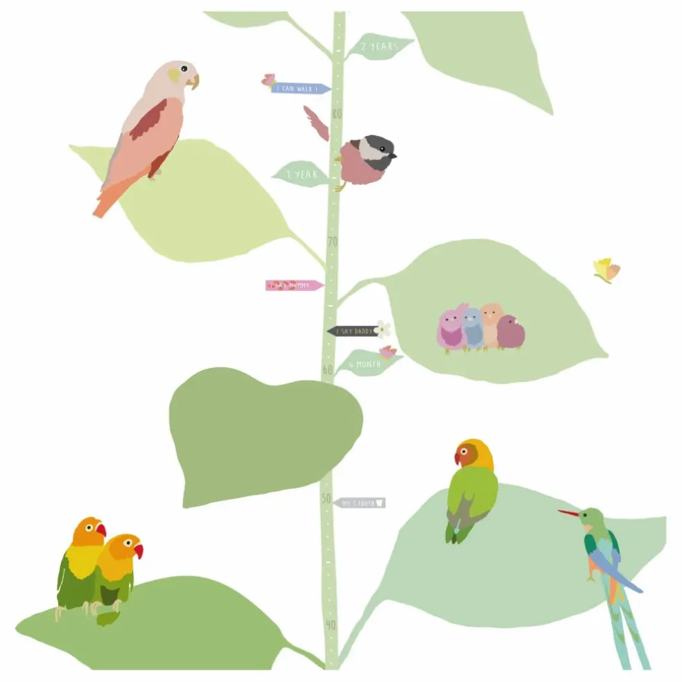 Toise With The Birds -EN