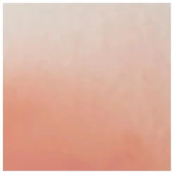 Toner clarifiant Skin Resolution