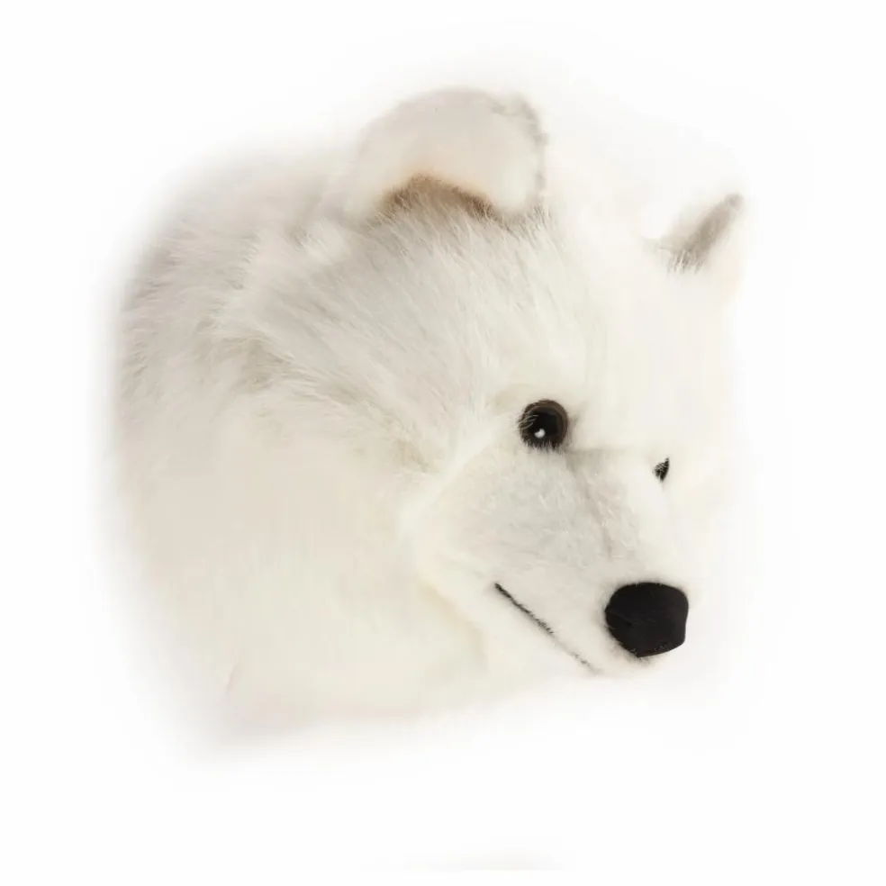 Trophée Loup Blanc