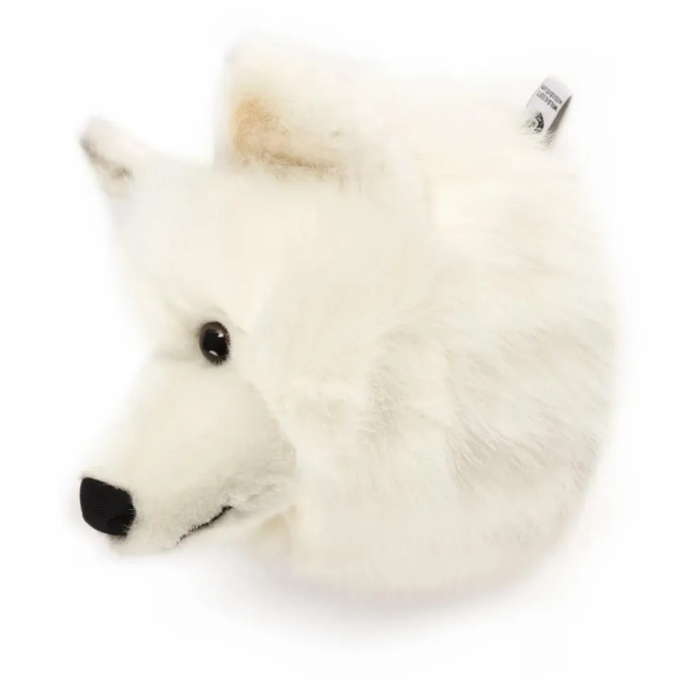 Trophée Loup Blanc