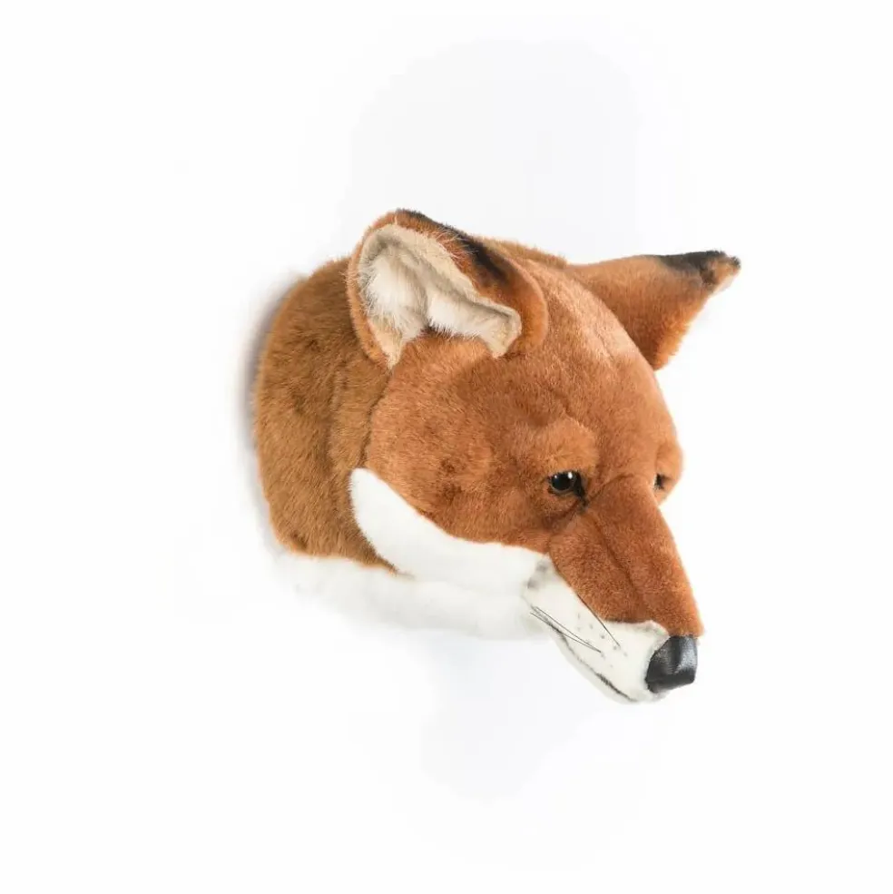 Trophée Renard | Brun roux