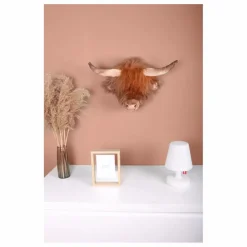 Trophée Vache Ecosse