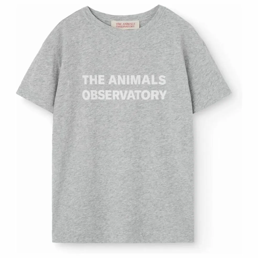 T-shirt Orion | Gris chiné