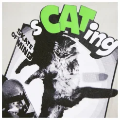 T-shirt Riley Scating Coton | Gris