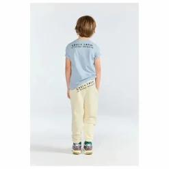 T-shirt Rooster Coton Bio | Bleu gris