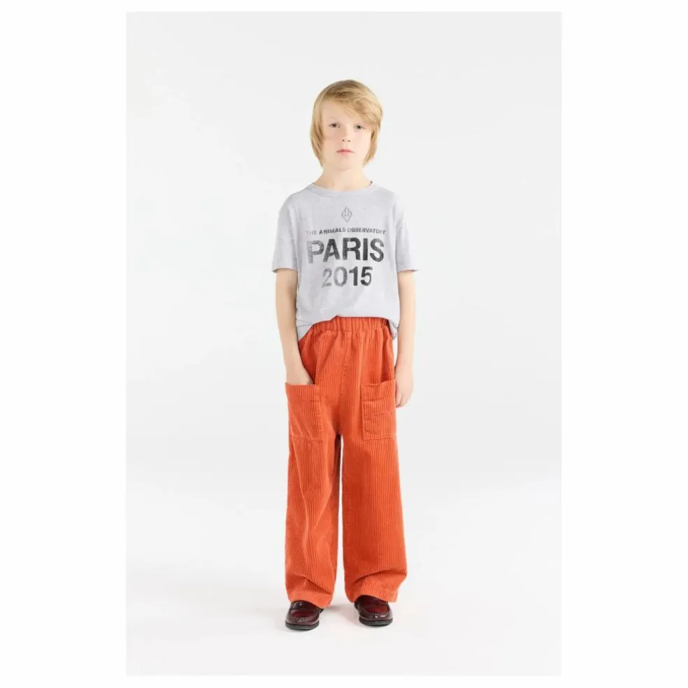 T-shirt Rooster Paris 2015 | Gris chiné