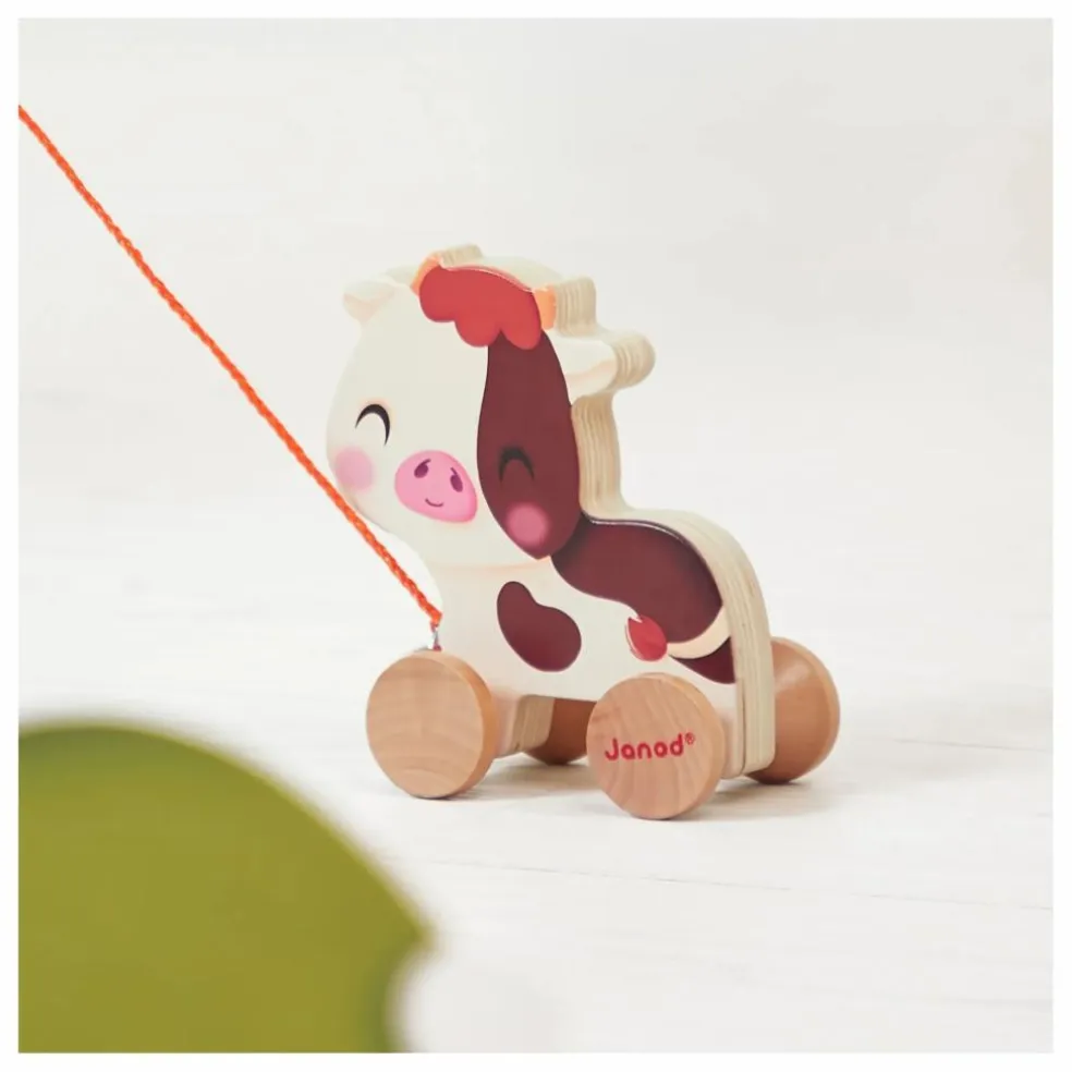 Vache à promener