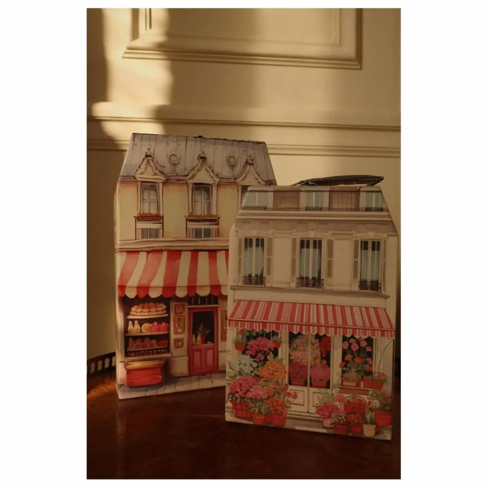 Valises de rangement - Set de 2