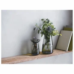 Vase en verre Aquaculture | Gris