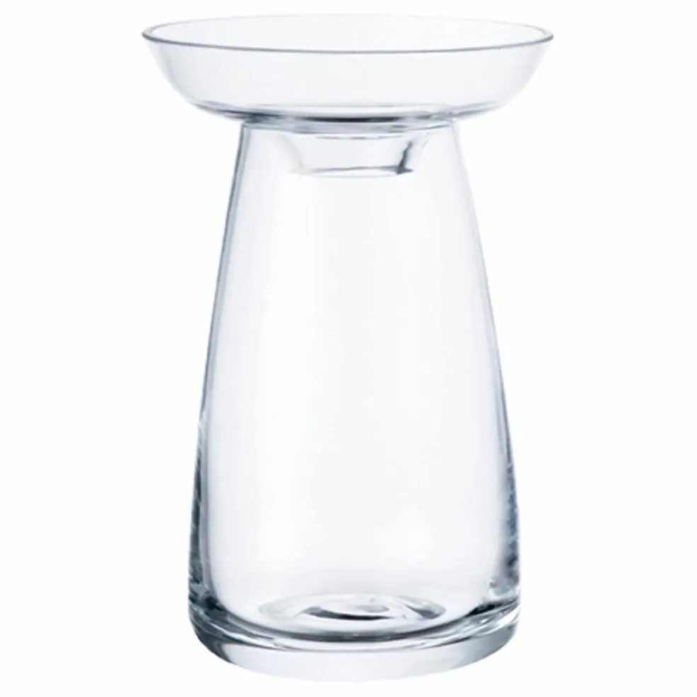 Vase en verre Aquaculture | Transparent