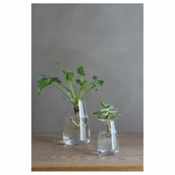 Vase en verre Aquaculture | Transparent