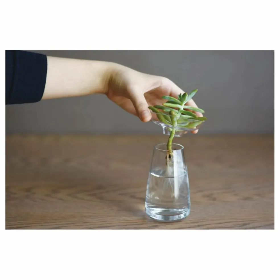 Vase en verre Aquaculture | Transparent
