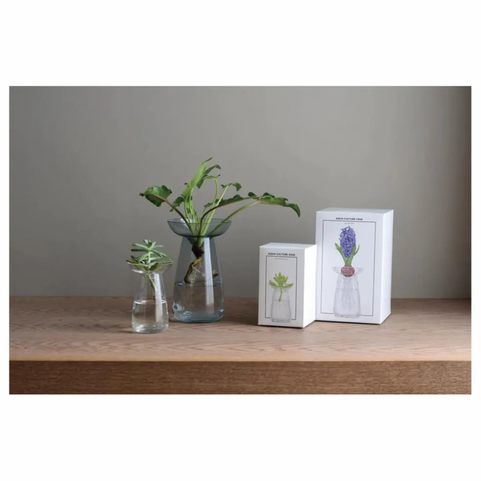 Vase en verre Aquaculture | Transparent