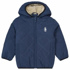Veste Baby Shark | Bleu marine