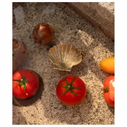 Vide poche coquillage en laiton Scarlett | Doré