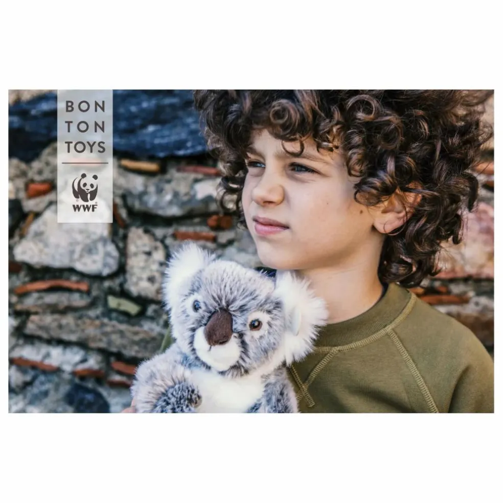 WWF - Peluche Koala | Gris
